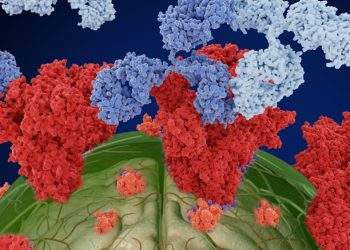 Brain Spike Proteins